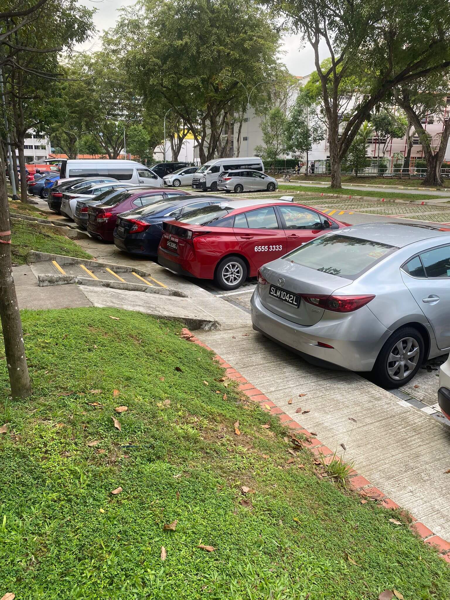 Newly Renovated Coffee Shop Opening in April